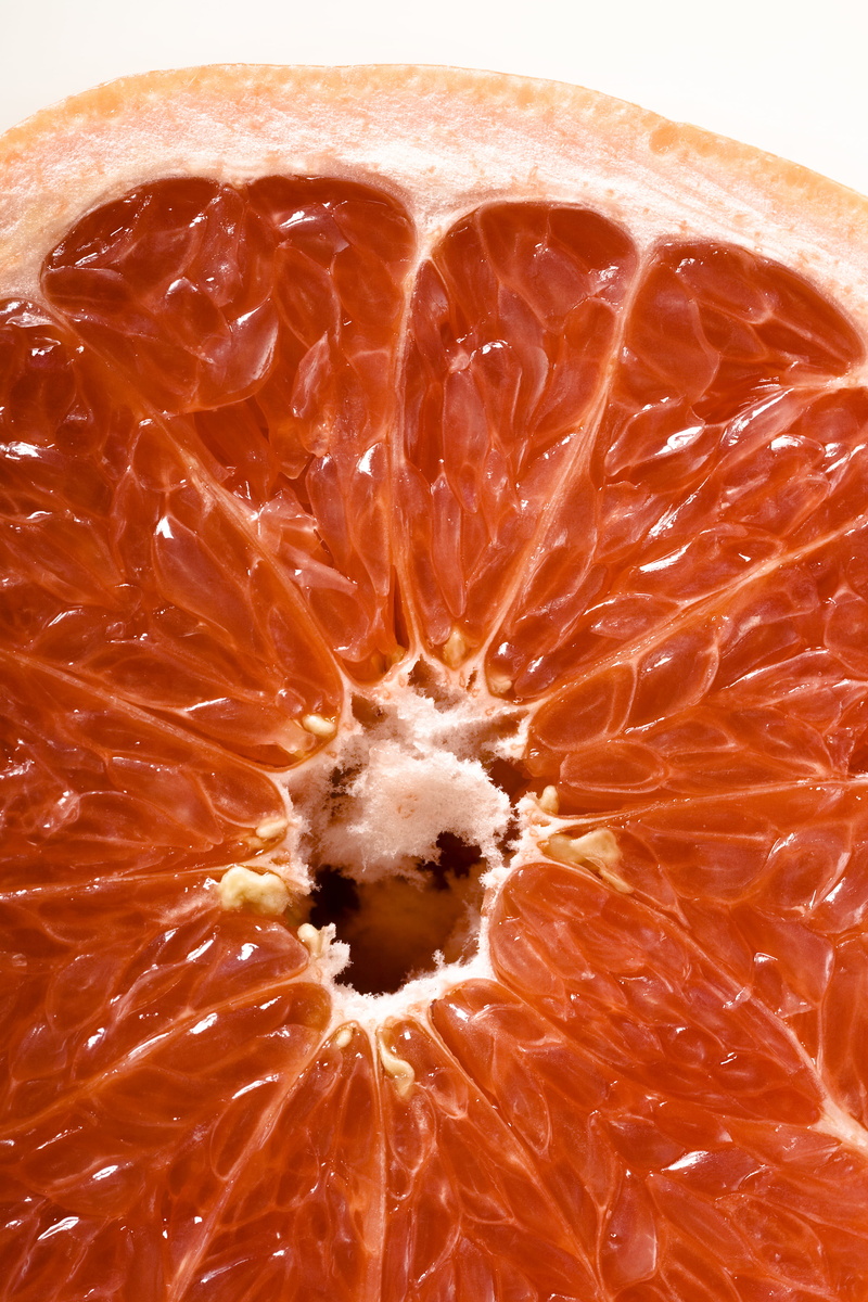 snack, studio shot, fresh, food and drink, closeup, food, juicy, healthy, organic, close-up, citrus fruit, freshness, orange, 4K, healthy lifestyle, nutrient