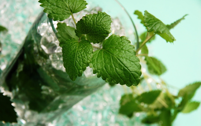 Drinks, Glass, Green, Mojito, Mint, Leaves, 2K, Cup