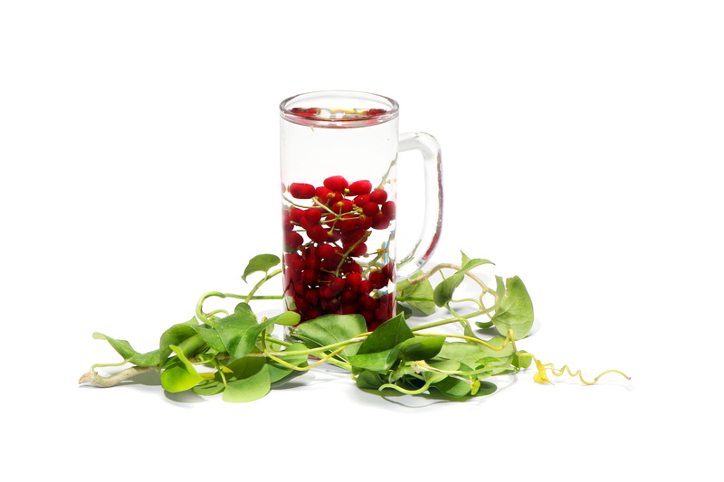 natural, plant, leaf, nature, glass - material, container, beverage, drink, berry, berry fruit, syrup, still life, healthy, 5K, plant part, green color