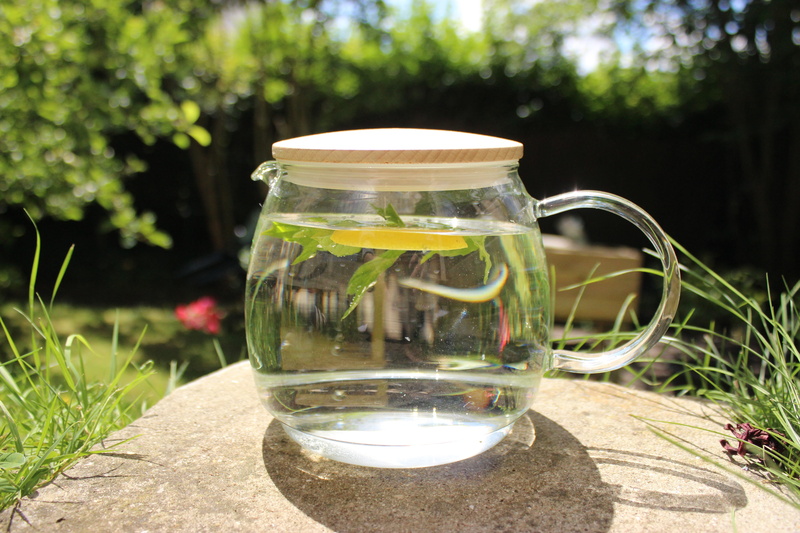 outdoors, Mint, close-up, tree, Water, nature, table, jar, Fruity, sunlight, glass, water, sun, Infusion, refreshing, day, container, Lemon, plant, mint