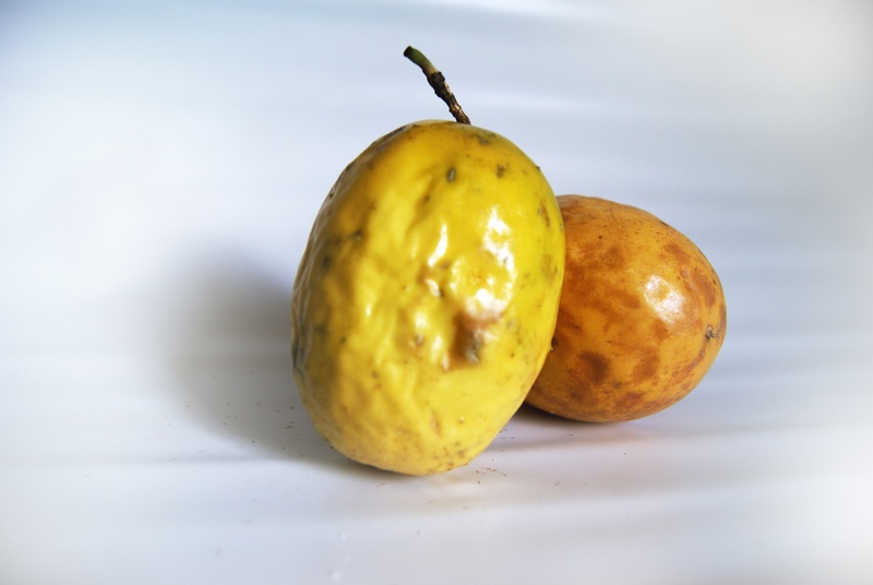 organic, food and drink, natural condition, yellow, passion fruit, plant stem, pear, food, passion, no people, indoors, chinola, studio shot, 4K, vegetable