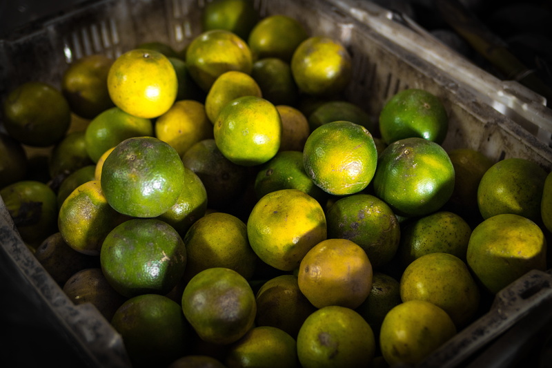 5K, indoors, vitamins, for sale, heap, close-up, green color, healthy eating, wellbeing, calamansi, freshness, food, abundance, lime, ripe, market, fruit