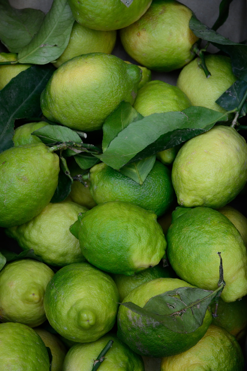 wellbeing, large group of objects, consumerism, stack, green, leaf, for sale, guavas, 5K, close-up, green color, market stall, day, lime, fruit, healthy eating
