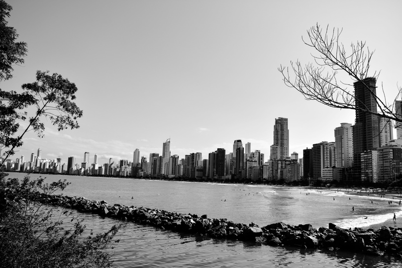 plant, architecture, body of water, no person, no people, tree, urban skyline, variants, modern, 5K, trees, black and white, financial district, landscape