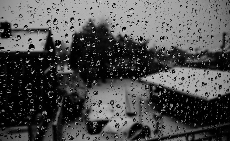 transparent, moisture, drop, monochrome, nature, car, no people, transportation, glass, 2K, Black and White, motor vehicle, full frame, vehicle interior