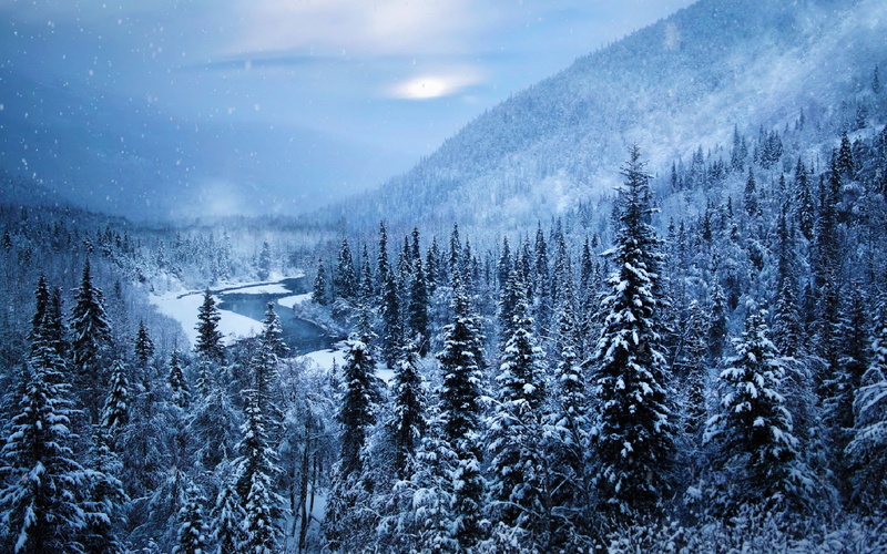 river, winter, 1080P, Alaska, trees, nature, landscape, snow, cold, white, mountains, forest