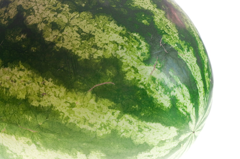 diet, wellbeing, watermelon, vitamin, cut out, isolated, close-up, leaf, fresh, juicy, nature, white, green color, vegetarian food, vegetable, refreshment