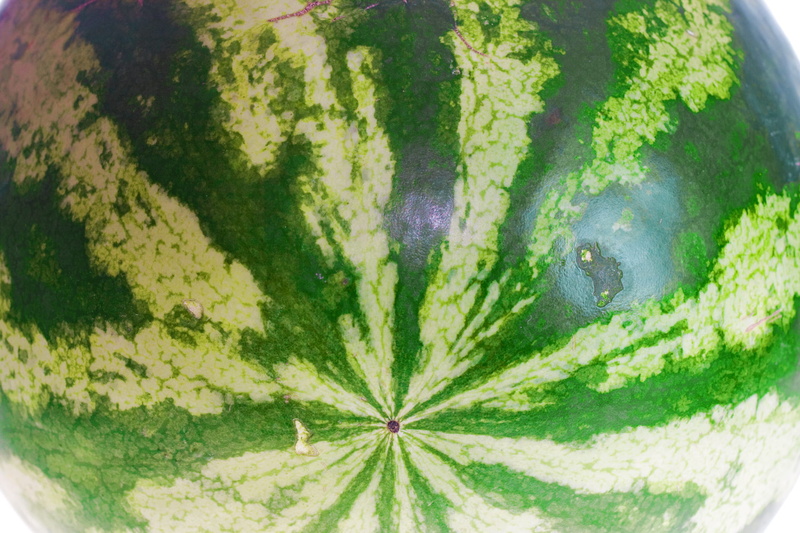 white, close-up, 1080P, juicy, plant, fruit, vegetable, directly above, eatinghealthy, eat, isolated, healthyfood, outdoors, watermelon, herb, healthy