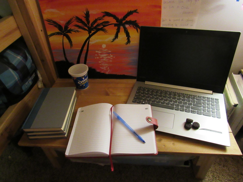 still life, indoors, furniture, book, communication, education, publication, laptop, sunset, connection, no people, school, oreos, books, pen, plant, technology