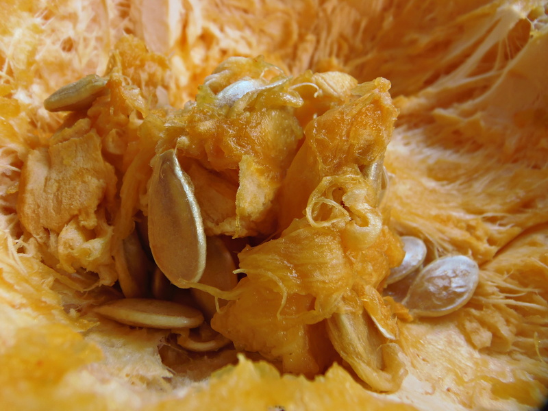 french fries, food and drink, 4K, pumpkin pulp, close-up, prepared potato, italian food, unhealthy eating, snack, dinner, pasta, macro, food, potato, indoors