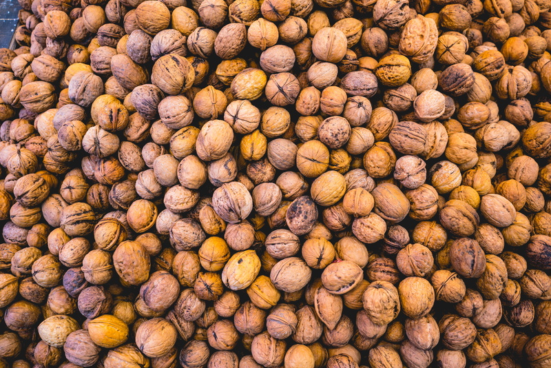 food, soy, lentil, apricot, day, coconut, food and drink, brown, vegetable, pecan, no people, still life, produce, grain, nut - food, market, nut, rug