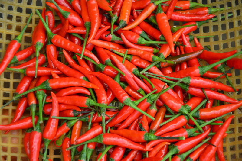 still life, no people, red, vegetable, plant, red chili pepper, chili pepper, pod, for sale, 4K, abundance, food, large group of objects, sharp, wellbeing