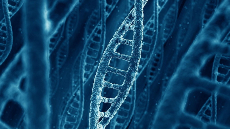 lace - textile, textile, no people, fashion, electric blue, structure, macro, gene, backgrounds, indoors, dna, rag, biology, textured, 1080P, elegance