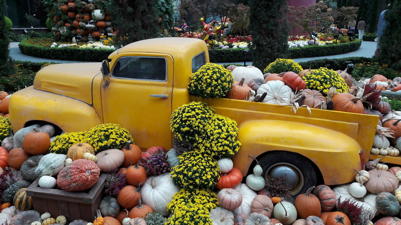 truck, halloween, fall, day, nature, pumpkin, happy, outdoors, food, traditional, large group of objects, party, vintage, healthy eating, vegetable, no people