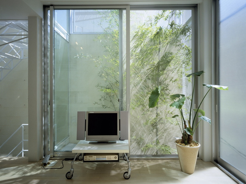 gray, tv, furniture, 720P, potted plant, seat, apparatus, chair, nature, technology, plant, domestic room, windows, flower, home interior, houseplant