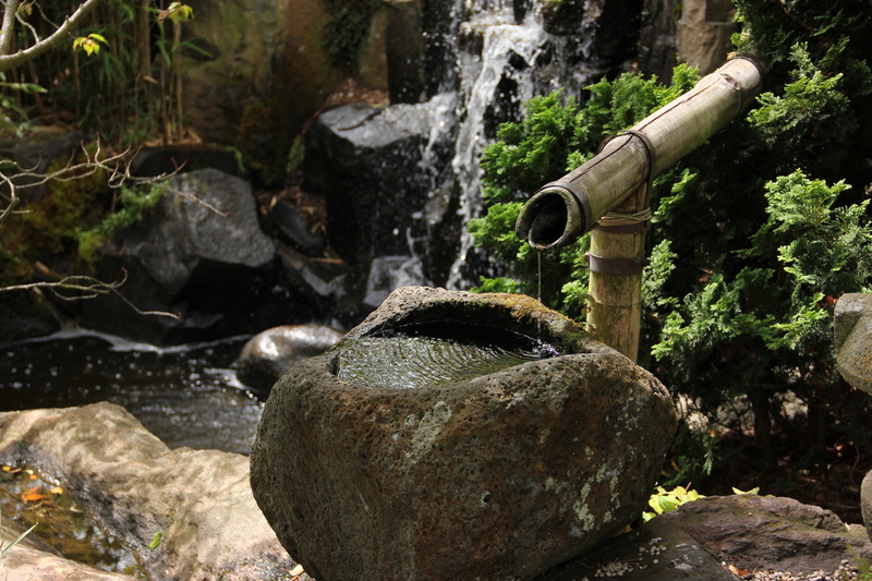 timelessness, bamboo, japanese garden, motion, wood - material, growth, day, plant, water basin, no people, water, 5K, flowing, forest, water feature