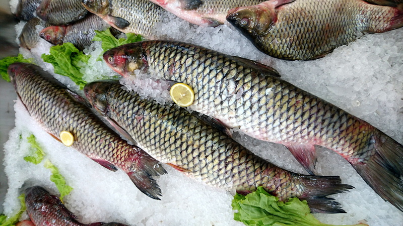 animal scale, for sale, fish, product, market, no people, close-up, salad, animals, ice, fishing industry, wellbeing, food, fresh fish, food and drink