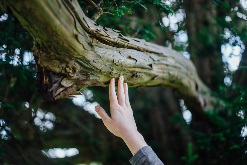 finger, trunk, person, s, body part, touching, hand, holding, Touch, women, unrecognizable person, 5K, human limb, outdoors, real people, human body part