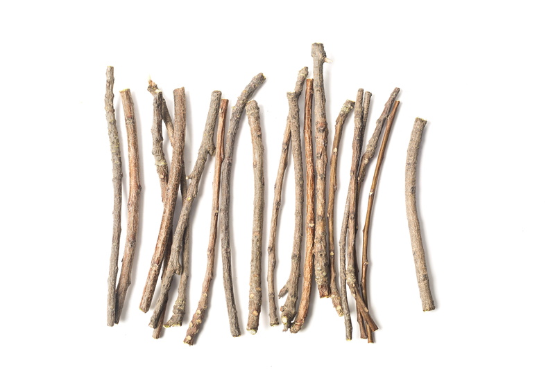 large group of objects, medical, food and drink, plant, high angle view, silver colored, stem, group, group of objects, white background, branch, 5K, wood