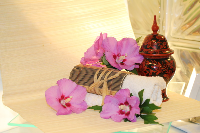 red, flower head, plant, flowering plant, pink color, freshness, decoration, pink, close-up, body care, basket, nature, container, ayurveda, cloth, near