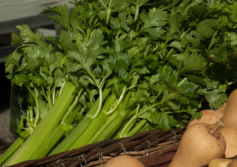 high angle view, celery, freshness, food, no people, close-up, green color, vegetable, healthy eating, raw food, nature, market, wellbeing, for sale, organic