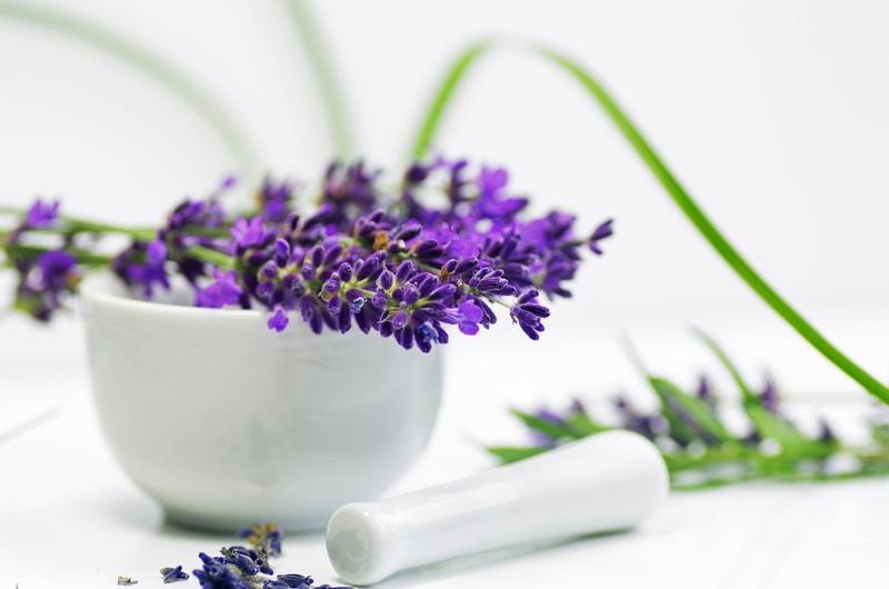 flower, plant, lavender colored, mortar, lavender, no people, 1080P, indoors, studio shot, freshness, vulnerability, medicine, purple, pestle, close-up