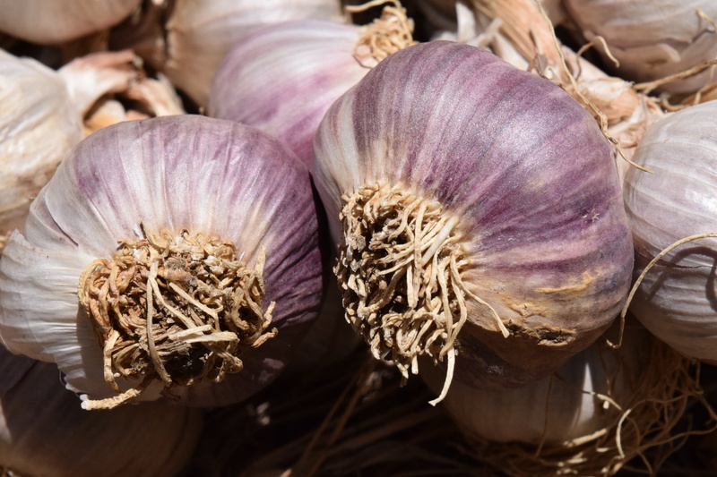 medicinal plant, spice, mediterranean, vegetarian Food, herb, focus on foreground, tubers, 5K, ingredient, purple, eat, raw Food, still life, organic