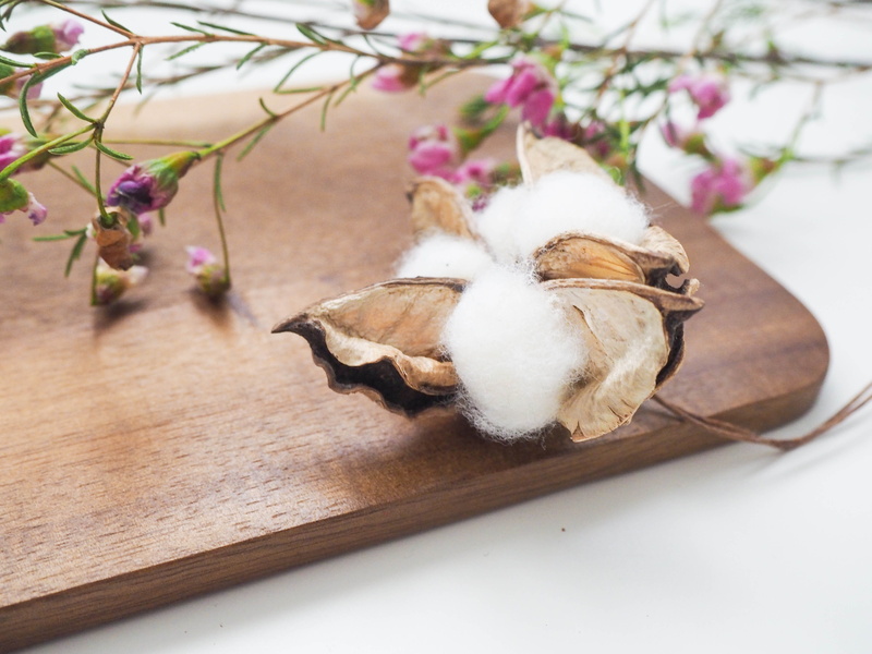 oak, day, wild, softness, freshness, bloom, table, plant, flower, flowers, focus on foreground, cotton flower, beauty in nature, denmark, nordic, scandinavian