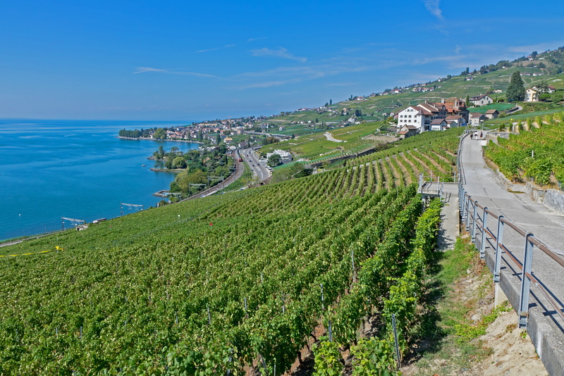 lake geneva, outdoors, environment, scenics - nature, architecture, sky, vineyard, tranquility, day, nature, land, plantation, no people, tranquil scene