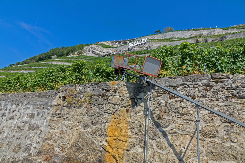 sunlight, wine red, rock - object, nature, blue, vines, landscape, outdoors, solid, land, 5K, sky, wine, mountain, grapevine, clear sky, vineyard, day