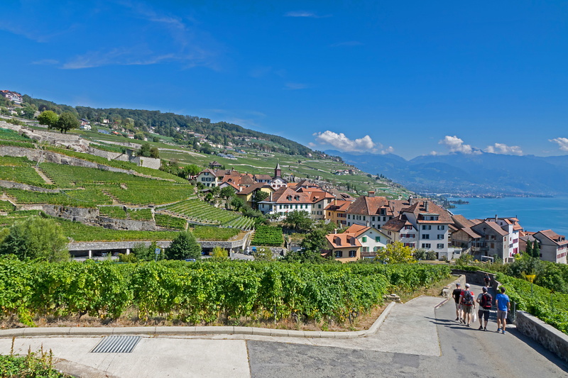 wine, built structure, 5K, building exterior, plant, house, outdoors, wine red, grapevine, city, architecture, people, laveaux, residential district, lake geneva