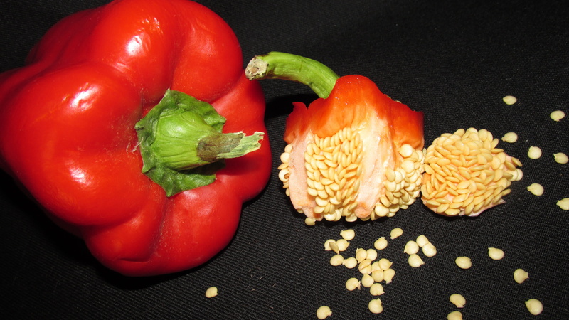 indoors, table, no people, pepper, vegetarian food, vegetable, seed, wellbeing, capsicum, cooking, food and drink, bell pepper, freshness, still life, vitamins