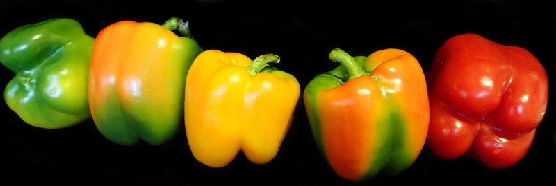 red, spice, pepper - vegetable, no people, ripe, organic, multi colored, pepper, close-up, groceries, vegetable, green color, vegetarian, black background