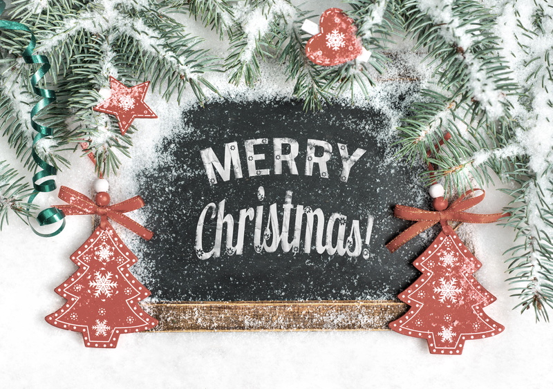 star shape, pine, white, branch, event, close-up, snowflake, text, wall, western script, pine Tree, holiday, shiny, merry christmas, Christmas, humor, celebration