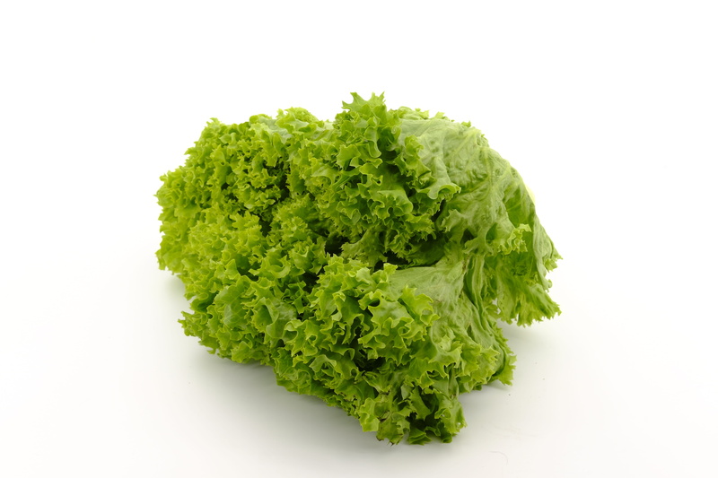 iceberg lettuce, food, refreshment, head of lettuce, kale, freshness, nutrition, leaf lettuce, studio shot, 5K, salad, no people, vegetable, cut out, healthy