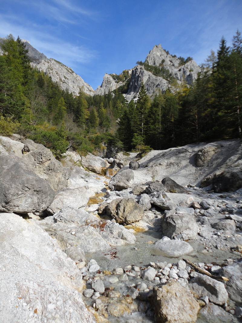 dig carl bulk, Waters, hochschwab, flowing, scenics, outdoors, mountains, mountain range, 2K, rock, landscape, stream - flowing water, forest, mountain