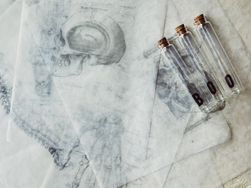 happy halloween, indoors, glass, test tube, boo, communication, skull, day, 8K, healthcare and medicine, paper, testtube, creepy, drawing - art product