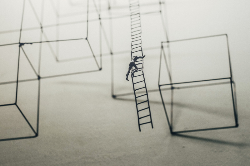 studio shot, object, paper, art, indoors, planning, sculpture, illustration, craft, handmade, no people, one animal, diagram, ladder, drawing - art product