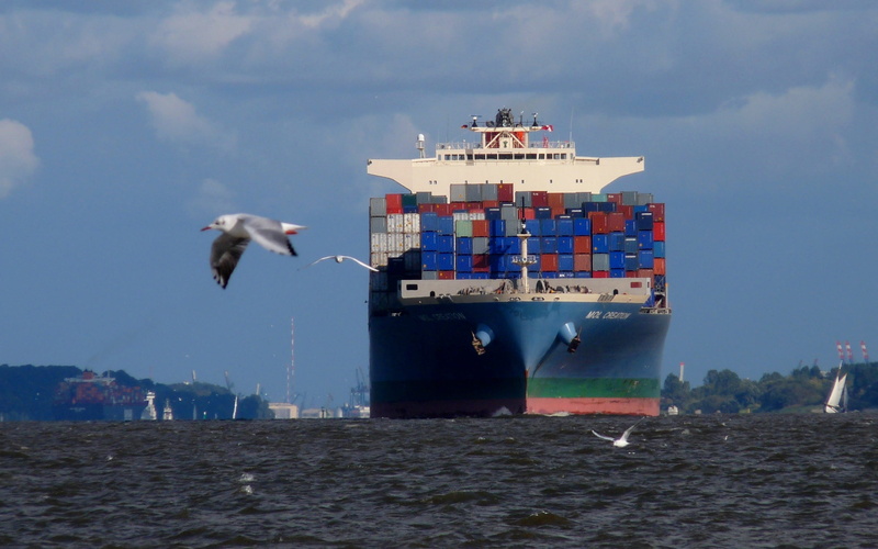 built structure, sea, seagull, hamburg, animal, gull technology, freighter, maritime, cloud - sky, hamburg port, 2K, seafaring, elbe, outdoors, bird, port
