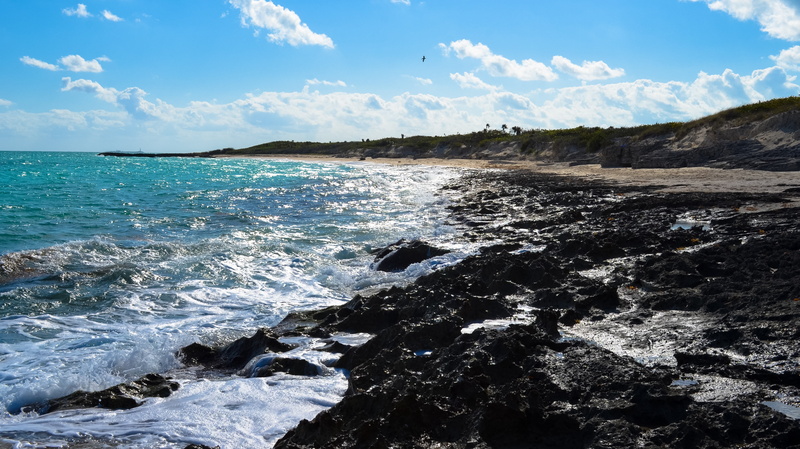 environment, scenics, coastline, sky, wave, animal wildlife, ocean, motion, land, rocky coastline, outdoors, tropics, beach, no people, blue, rock, day