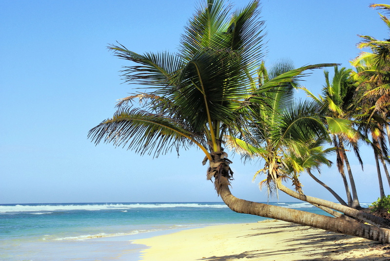 horizon, palm tree, no people, land, 2K, cuba, green, body, clear sky, day, water, scenics - nature, tropical tree, tranquil scene, outdoors, sky, palm