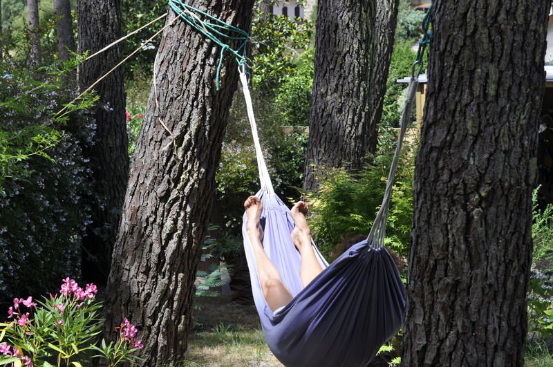 forest, plant, real people, women, hammock, idleness, standing, outdoors, nature, day, lying, trunk, young adult, hanging, lifestyles, flower, tree trunk