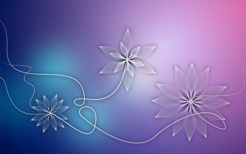 white color, indoors, patterns, summer, vector, colored background, illuminated, elegance, decor, design, blue background, leaf, light, creativity, shape
