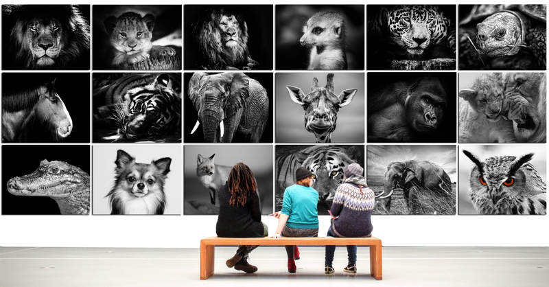 animals, brown, wooden, mammal, element, artist, decorative, three, person, framework, 4K, periodic table, one person, adult, real people, full length
