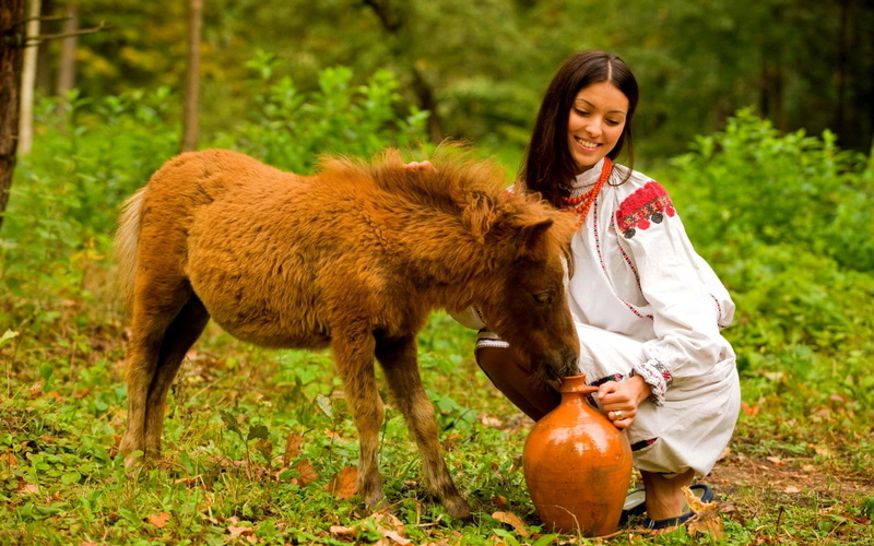 girl, quenching water, forest, animals, wild, 1080P, care, pitcher, donkey