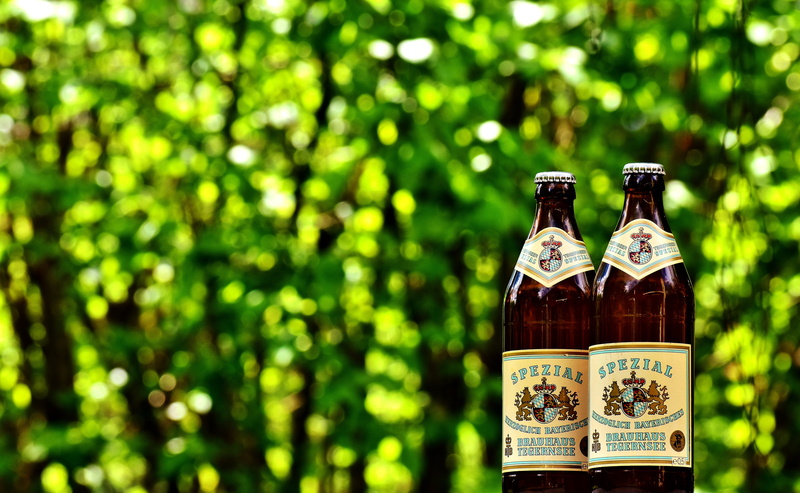 plant, beer garden, focus on foreground, wine bottle, thirst, tree, bottle, green color, no people, bottles, refreshment, still life, close-up, quench your thirst