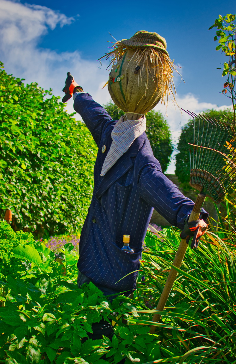 doll, land, rear view, field, quenching, women, 5K, protection, protect, face, one person, schreck, harvest, scarecrow, outdoors, real people, leisure activity