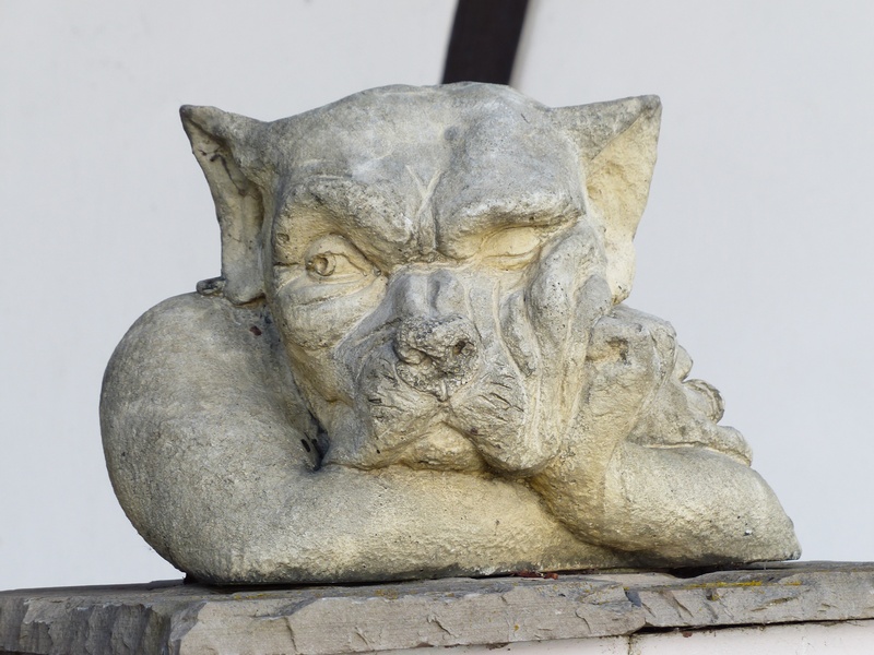 close-up, unwelcome, bored, garden statue, concrete, gray, day, wait, lurking, 4K, low angle view, quenching, wall - building feature, no people, carving - craft product