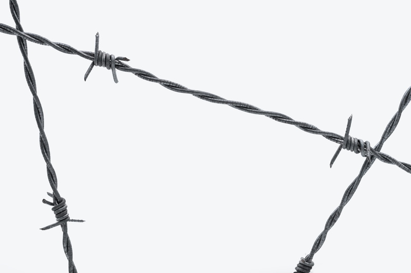 wire, metal, risk, barbed wire, outdoors, white background, day, demarcation, alloy, communication, security, sharp, nature, exclusion, fence, connection