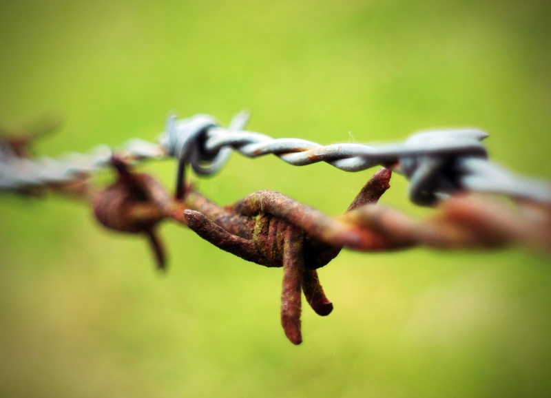 wiring, chain, close-up, barrier, metal, limit, safety, rusty, demarcation, security, no people, 2K, selective focus, pointed, focus on foreground, fence